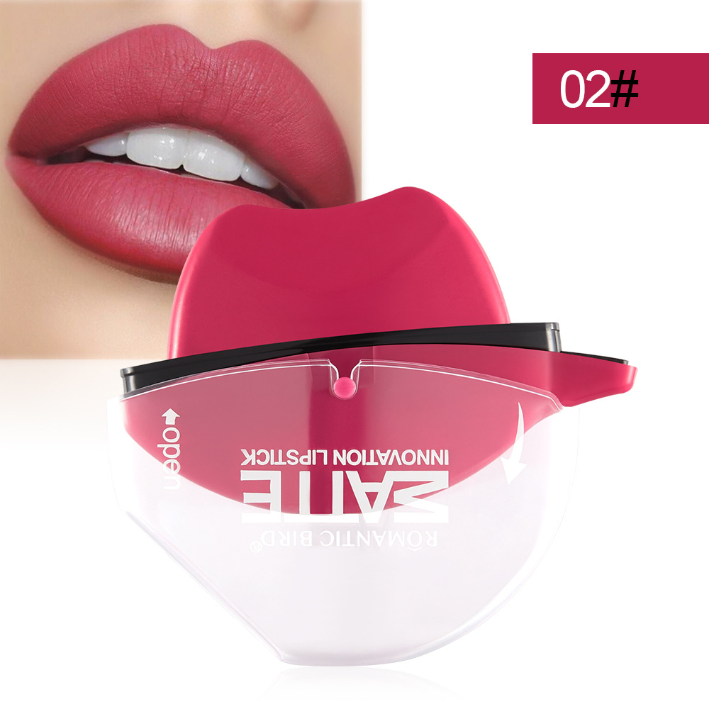 Matte Lipstick Lip Gloss (3)