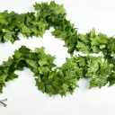 90Boston Ivy