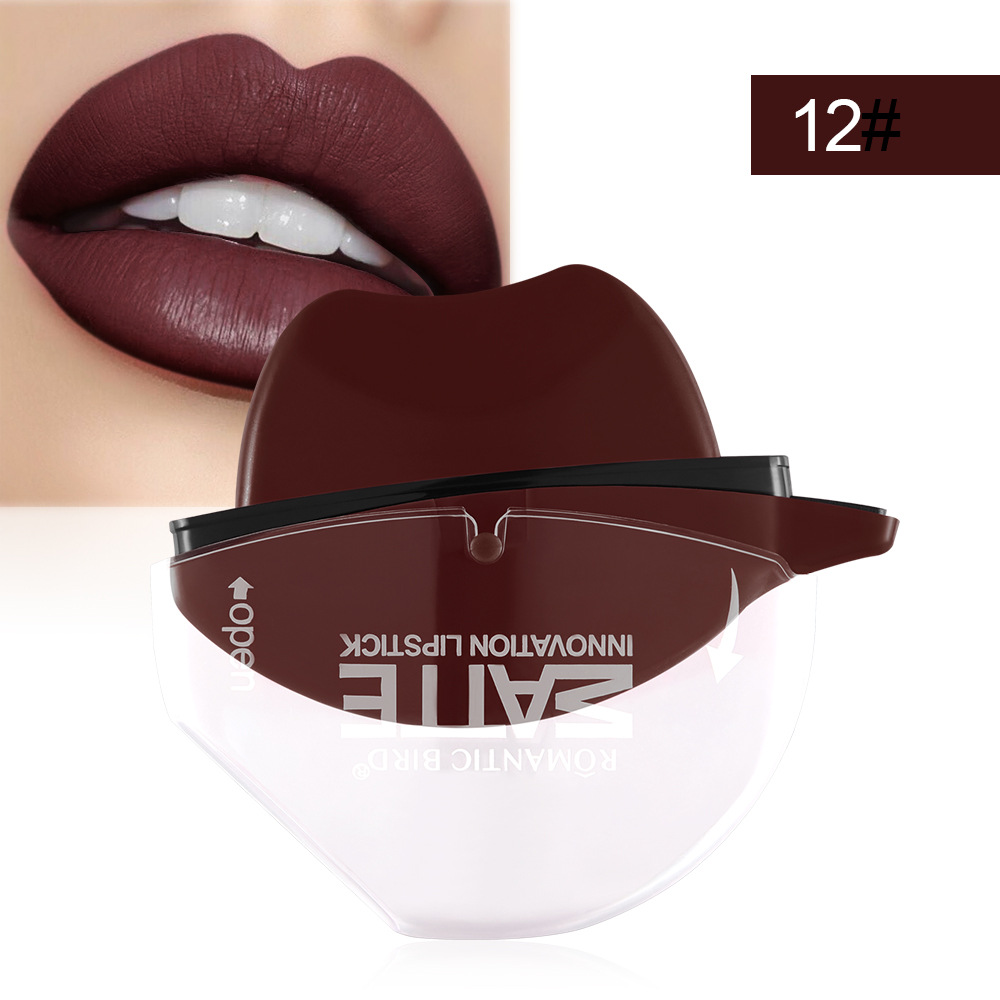 Matte Lipstick Lip Gloss (2)