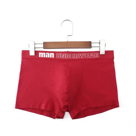 Men's Cotton Plus Size Underwear