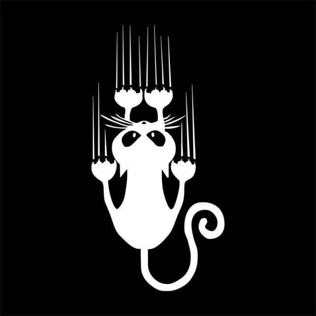 Funny Cat Car Stickers White - Shop at LoveMi