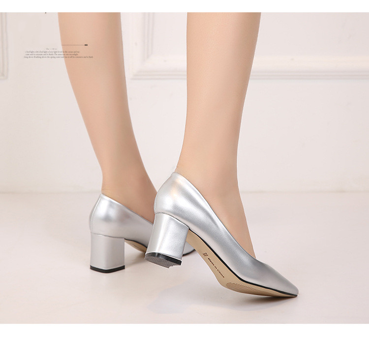 Pointed chunky heels Sliver 41 - Shop at LoveMi