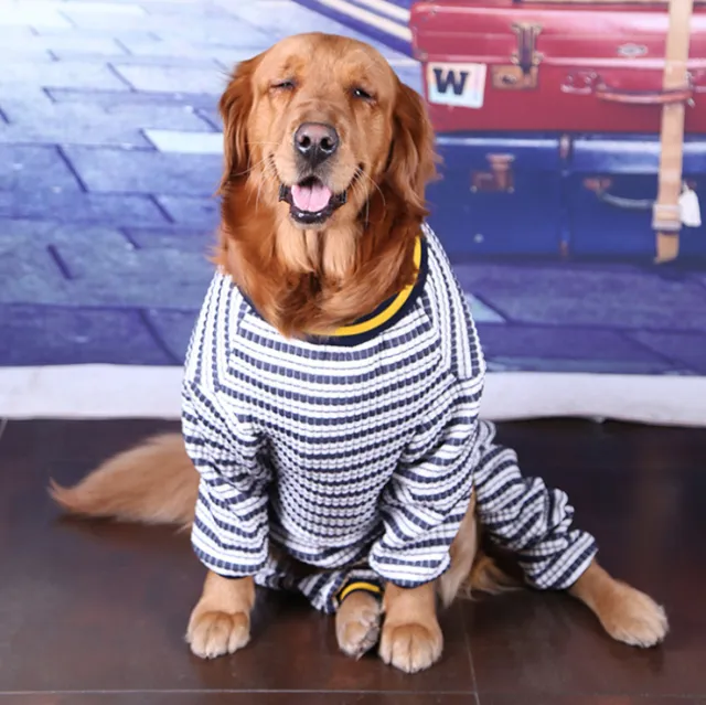 Pet dog clothes medium and large dogs Blue - Shop at LoveMi