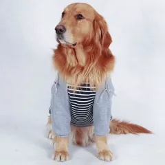 Big dog clothes in autumn and winter - Grey - View 1