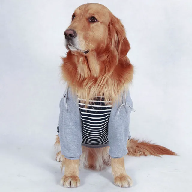 Big dog clothes in autumn and winter Grey - Shop at LoveMi