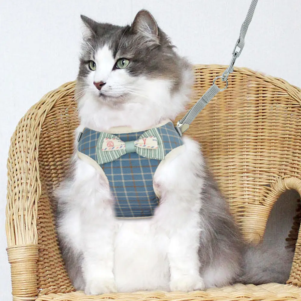 Vest type catrope