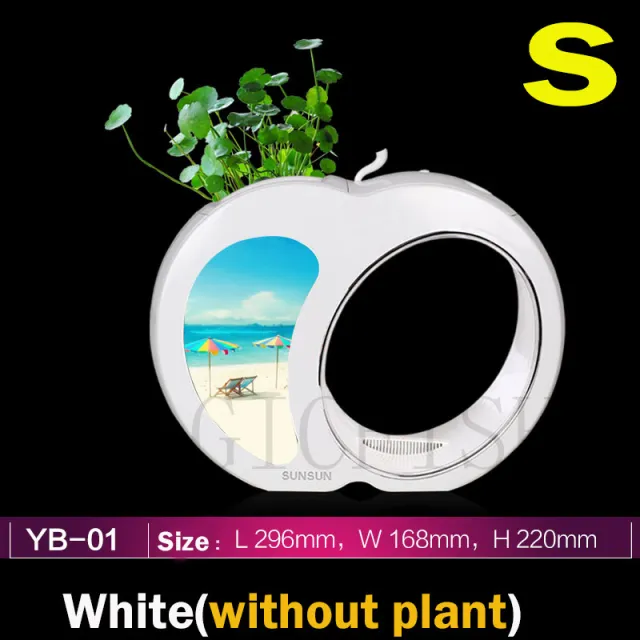 Mini led table fish tank White - Shop at LoveMi