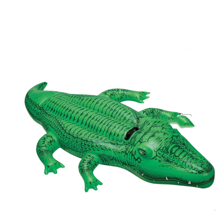 Crocodile