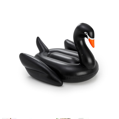 Black swan swimming ring
