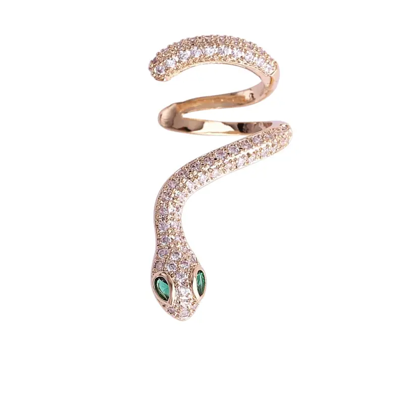 Snake ear clip ear bone clip