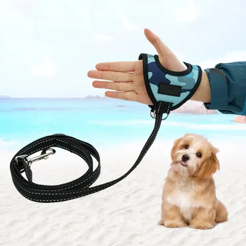A Pet on a Harness