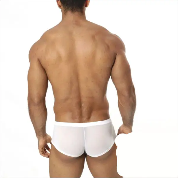 Full transparent mesh boxer