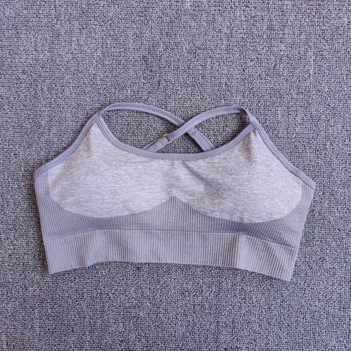 1877 Bra Grey