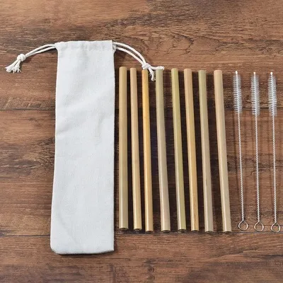 Eco Friendly Bamboo Toothbrush Sets 8 Pcs Straws - Shop at LoveMi