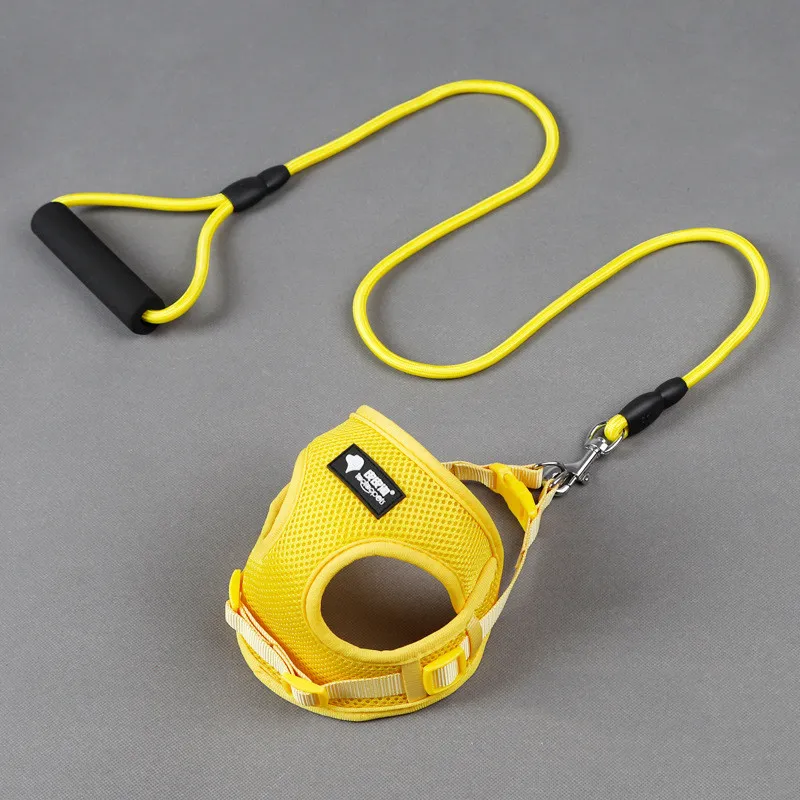 Dog leash dog leash dog collar – image 7