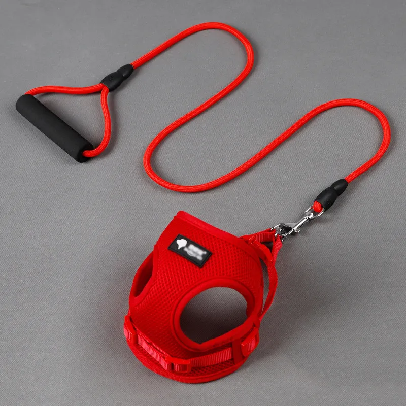 Dog leash dog leash dog collar – image 6