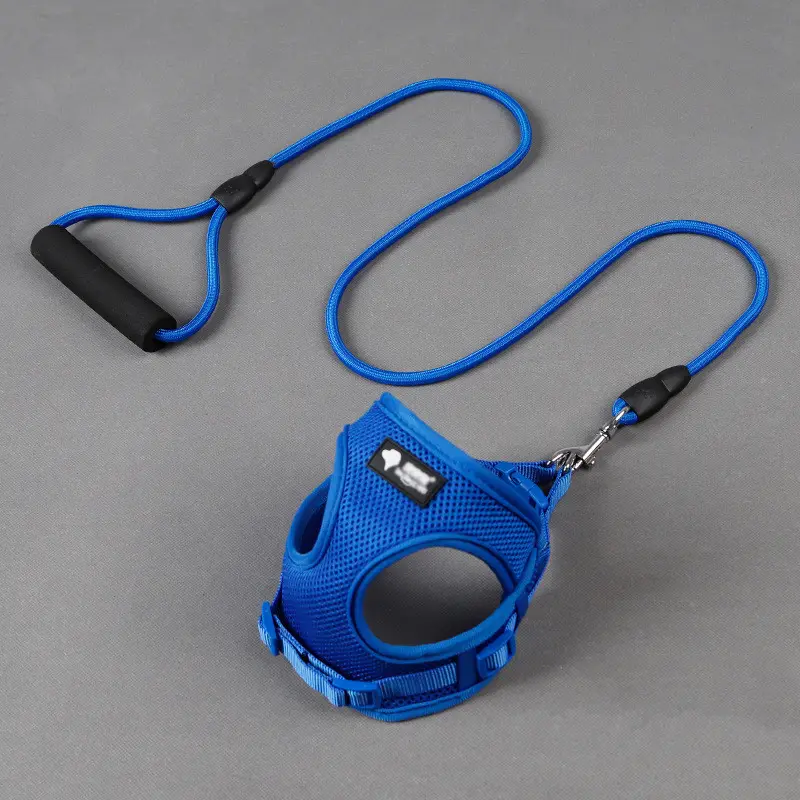 Dog Leash Dog Dog Collar