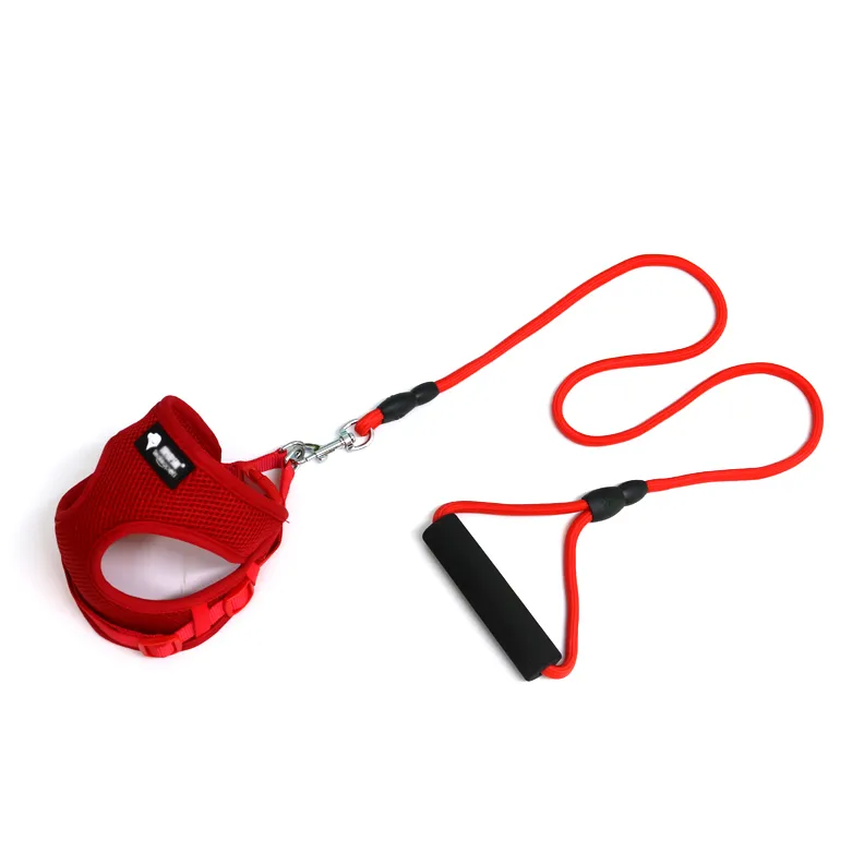 Dog leash dog leash dog collar – image 2