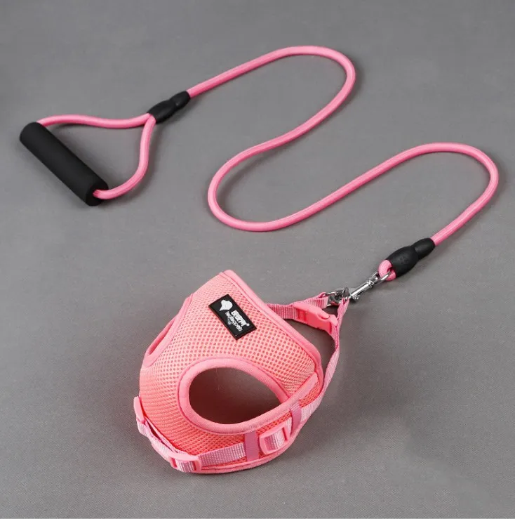 Dog leash dog leash dog collar – image 5