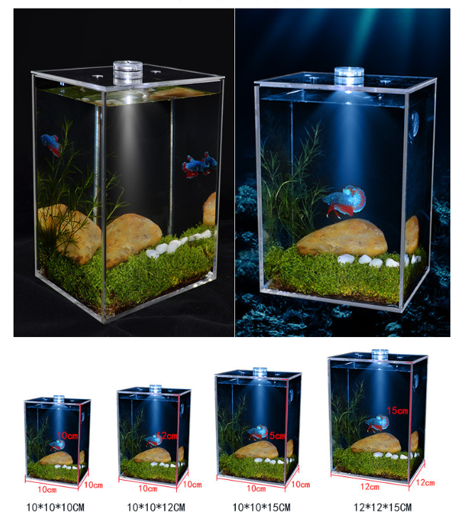 Fish tank small creative transparent white square White Light - Shop at LoveMi