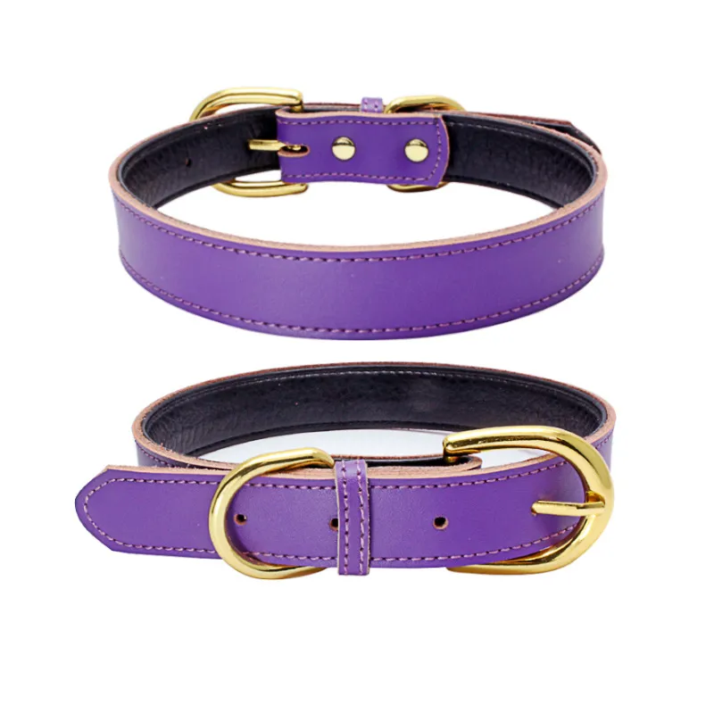 Cowhide pet collar - Purple