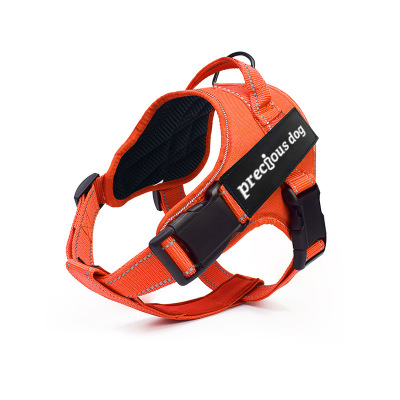 Pet harness Orange - Shop at LoveMi