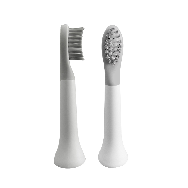 Title 4, Electric toothbrush head