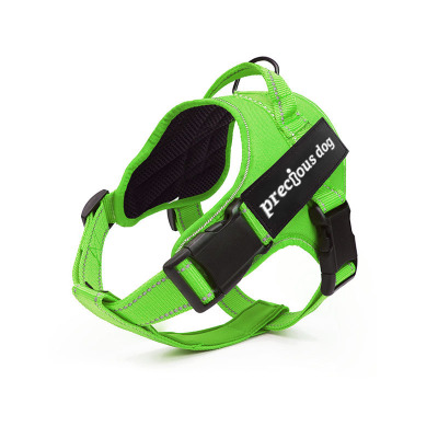 Pet harness Green - Shop at LoveMi