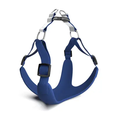 Per Harness with Leash