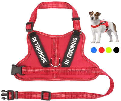 Personalize Per harness Red - Shop at LoveMi