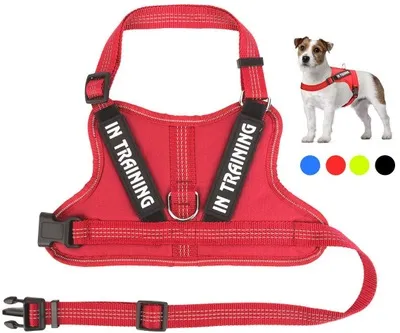 Personalize Per harness Red - Shop at LoveMi