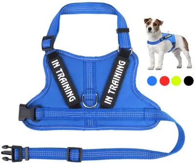 Personalize Per Harness