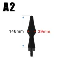 A2