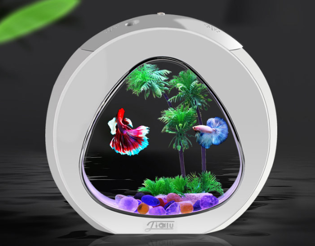 حوض سمك مكتبي