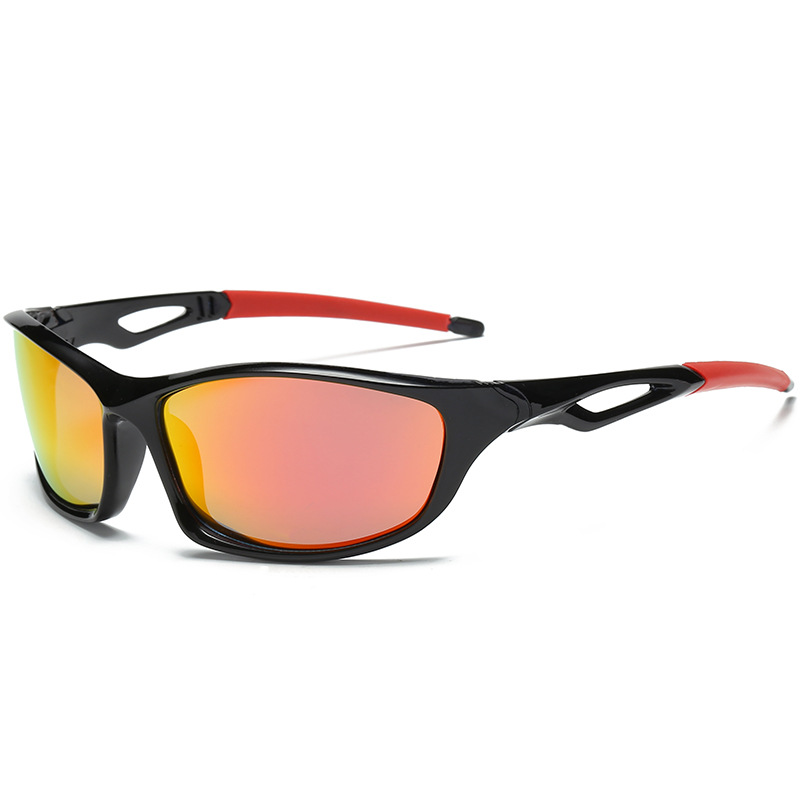 Title 4, Polarized sunglasses