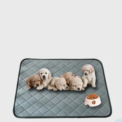 Pet Dog Diapers
