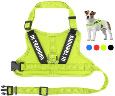 Personalize Per harness Green - Shop at LoveMi