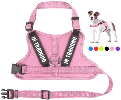 Personalize Per harness Pink - Shop at LoveMi