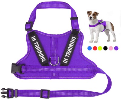 Personalize Per harness Purple - Shop at LoveMi