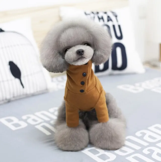 Small dogs autumn and winter outfits Yellow - Shop at LoveMi