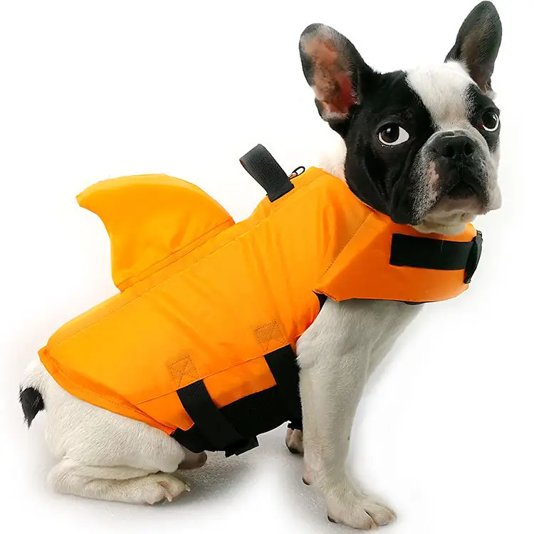 Large and small dog tide brand pet