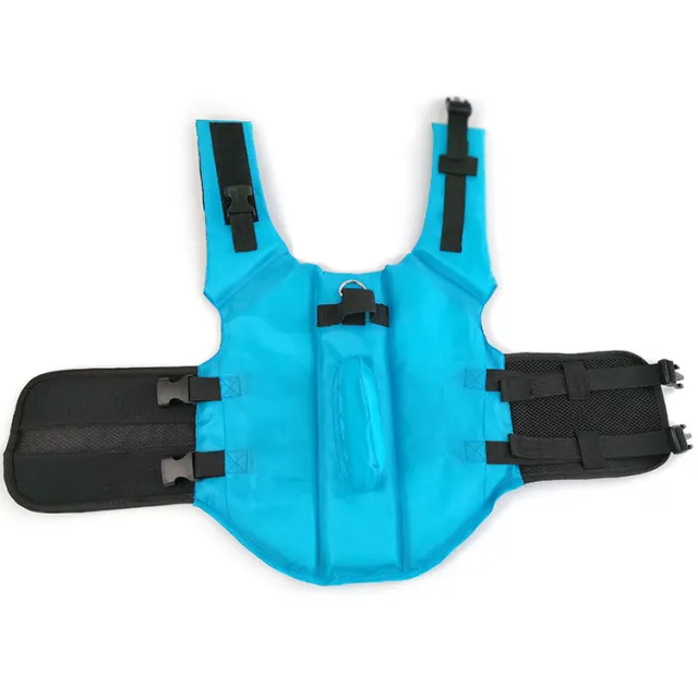 Large and small dog tide brand pet swimsuit Blue - Shop at LoveMi