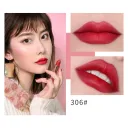 306 Color