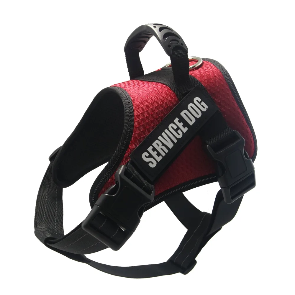 Custom Pet Harness