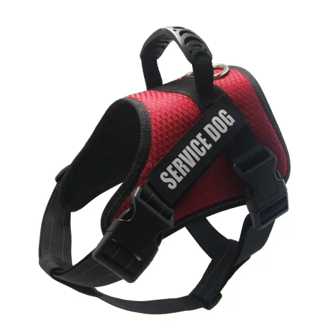 Custom Pet Harness