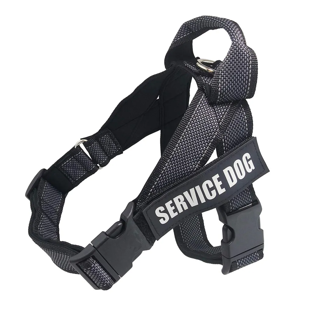 Personalize Pet harness - Black