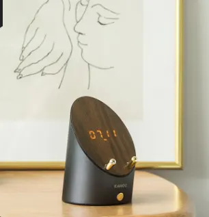 Induction Wireless Speaker