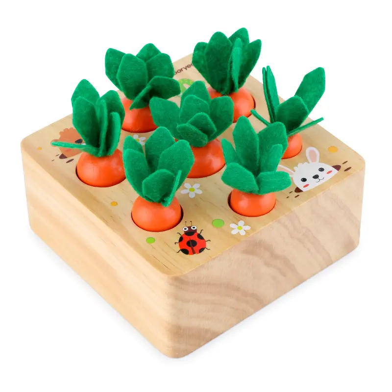 Educational Toys
