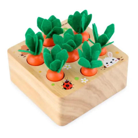 Educational Toys