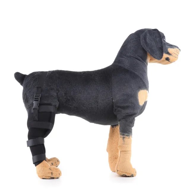 Leg rehabilitation foot support for pets Black - Shop at LoveMi